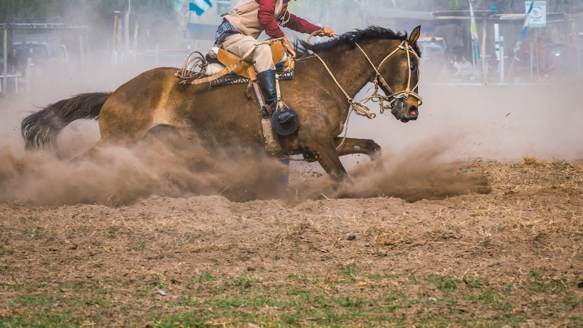 A importância das provas de Cavalos Crioulos para o campo equestre comentada por Aldo Vendramin.