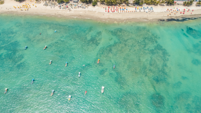 Maceió se destaca entre os destinos mais buscados do Brasil para o Carnaval 2026