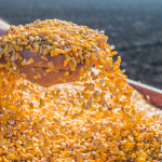 Crescimento das Exportações de Milho Impulsiona a Economia Brasileira em Março de 2026