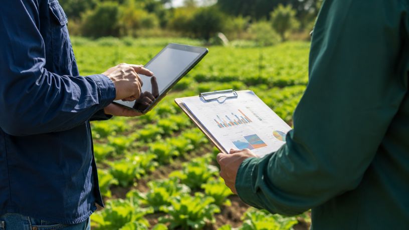 O impacto da assistência técnica rural na inclusão de pequenos produtores em políticas públicas